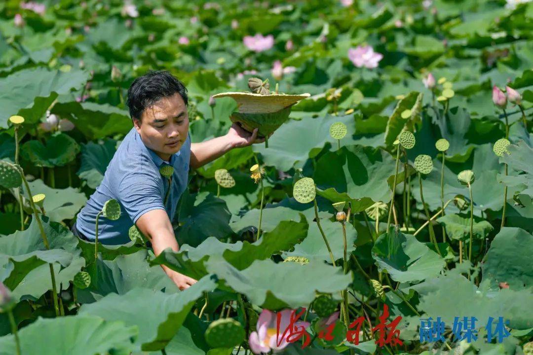 姚黄村民委员会最新领导团队介绍，姚黄村民委员会领导团队介绍