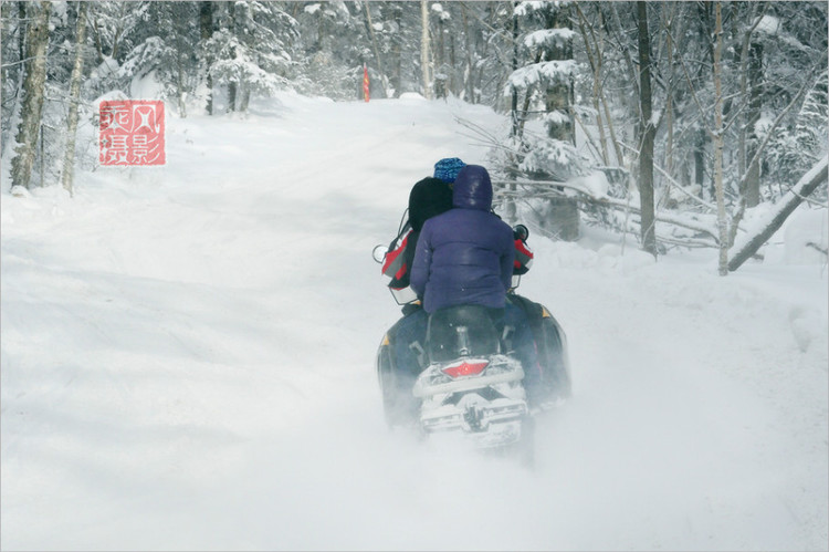 雪乡最新交通新闻及其影响分析，雪乡最新交通动态及其影响深度解析