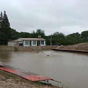 水产养殖场最新天气预报及其对养殖业务的重要性，最新天气预报对水产养殖业务的重要性分析